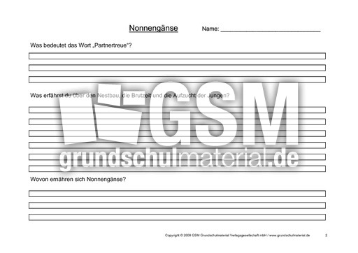 Arbeitsblatt-Nonnengänse-2.pdf
